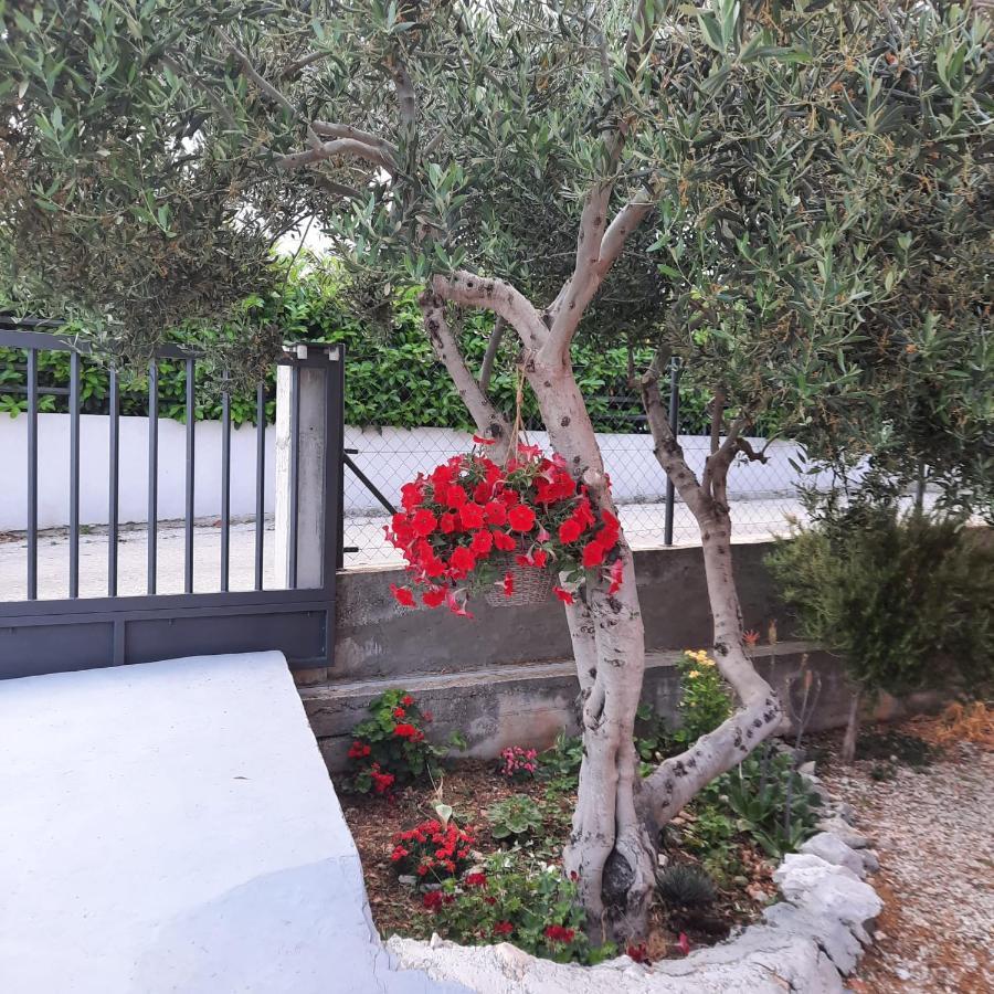 Studio Apartman Mare Trogir Zewnętrze zdjęcie